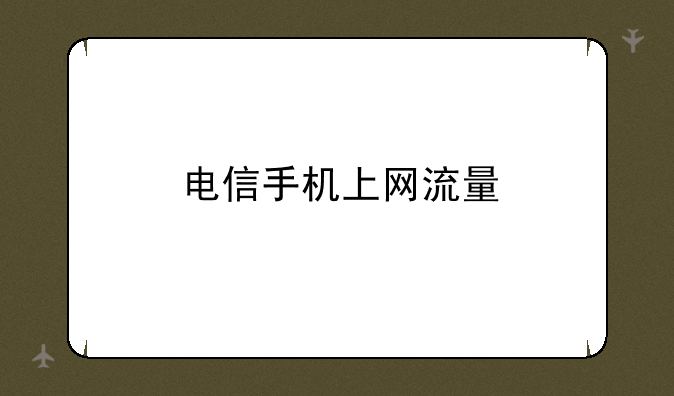 电信手机上网流量