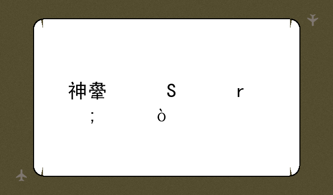 神舟笔记本怎样？