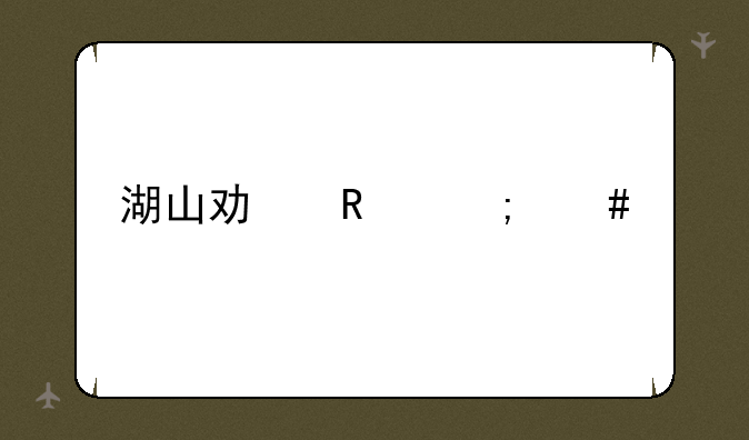 湖山功放怎么样