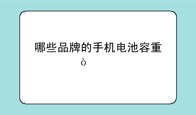 哪些品牌的手机电池容量大？