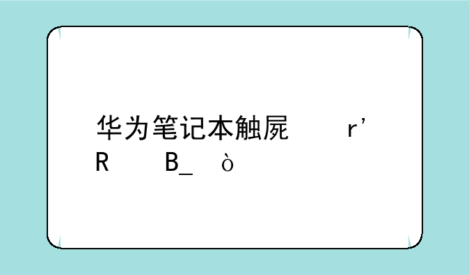 华为笔记本触屏有用吗？