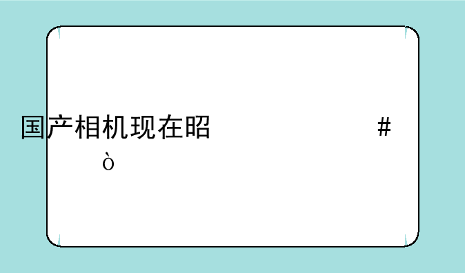 国产相机现在是什么水平？
