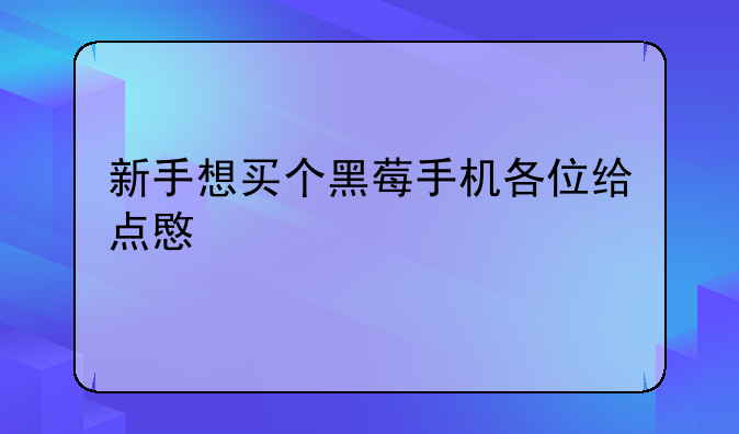 新手想买个黑莓手机各位给点意见。