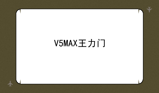 V5MAX王力门
