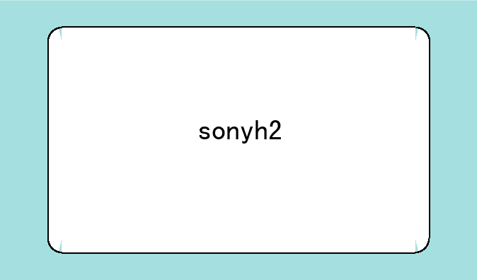sonyh2
