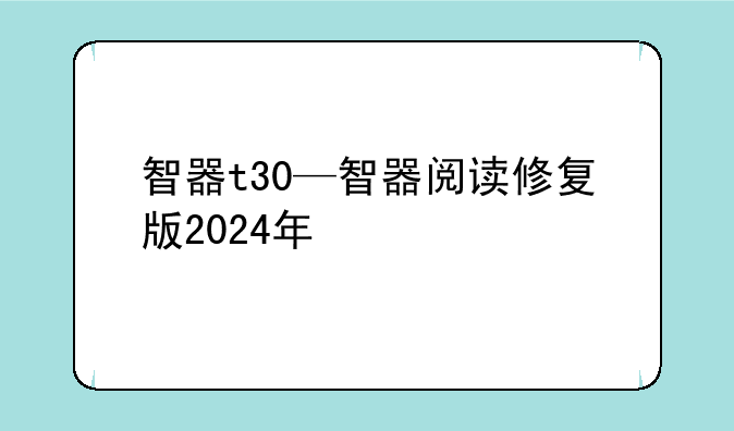 智器t30—智器阅读修复版2024年