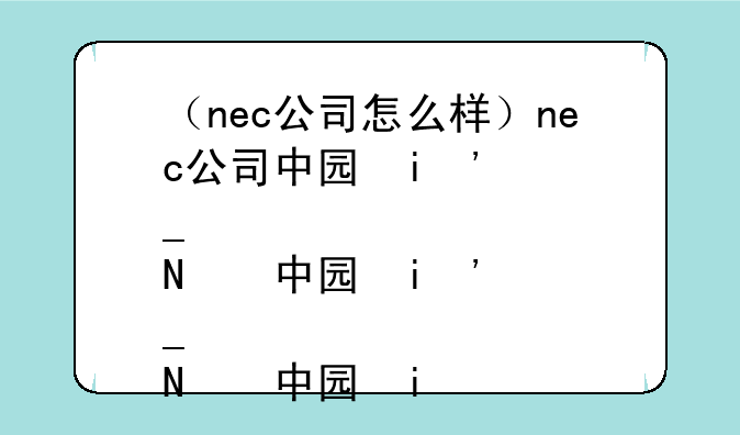 （nec公司怎么样）nec公司中国名全称