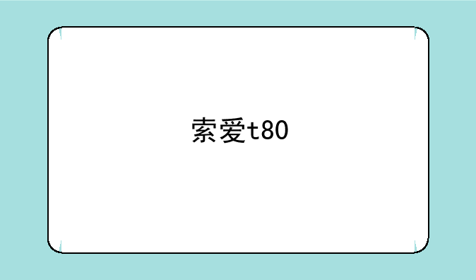 索爱t80