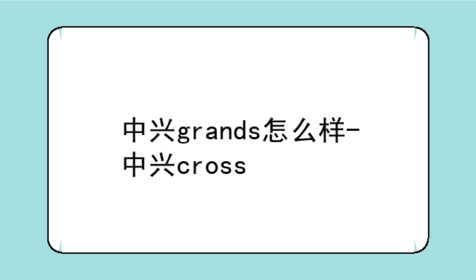 中兴grands怎么样-中兴cross