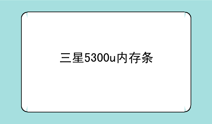 三星5300u内存条