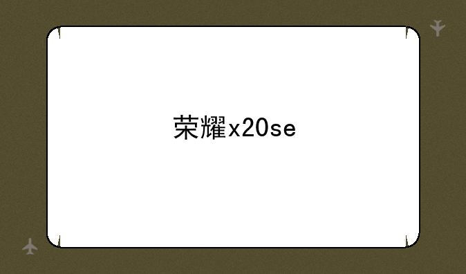 荣耀x20se