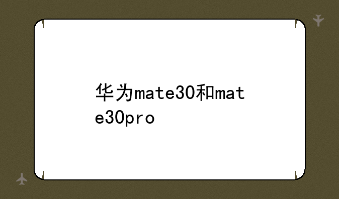 华为mate30和mate30pro