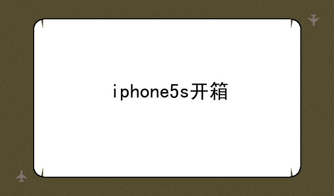 iphone5s开箱