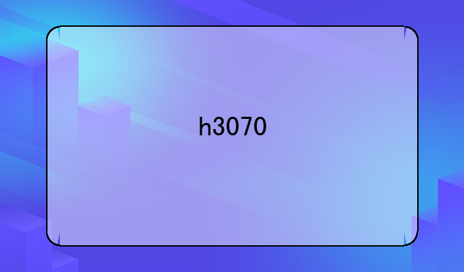 h3070